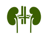 kidney-stone-icon.png